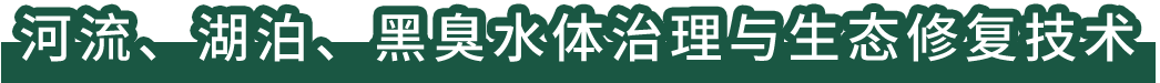 河流、湖泊、黑臭水體治理與生態(tài)修復(fù)技術(shù)