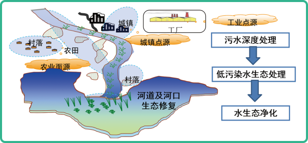 人工濕地，人工濕地建設(shè)